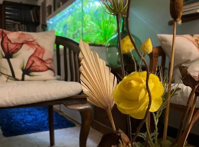 Rustico Finisterrae Finisterre